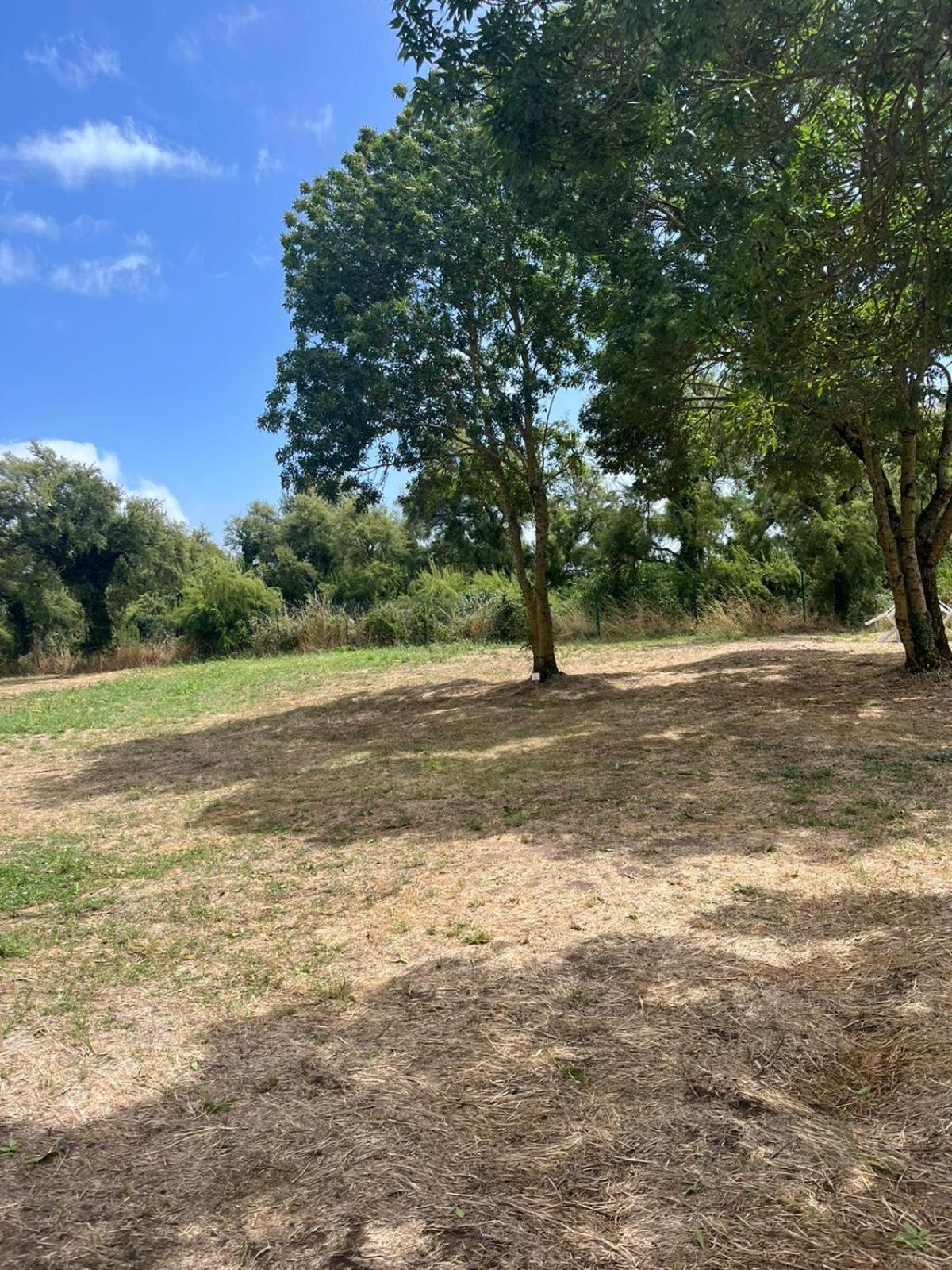 Camping Animal King Esnandes Εξωτερικό φωτογραφία